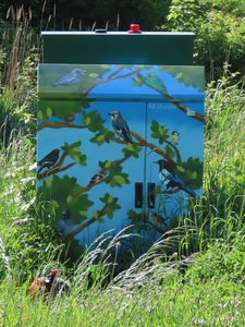 912856 Afbeelding van een door Milou van Montfort met vogels beschilderd elektriciteitskastje, in de berm bij de ...